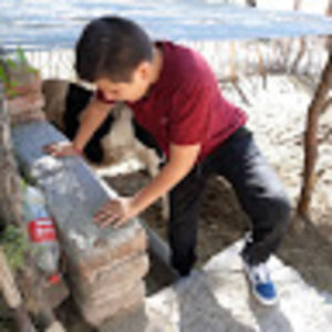 Meet your Posher, Jose